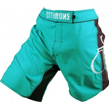 Dethrone Teal & Brown Fight Shorts
